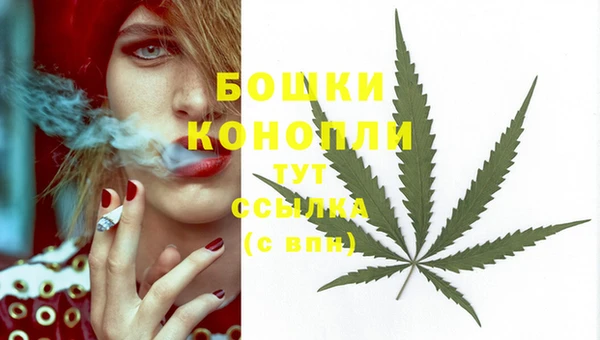 стафф Каменск-Шахтинский