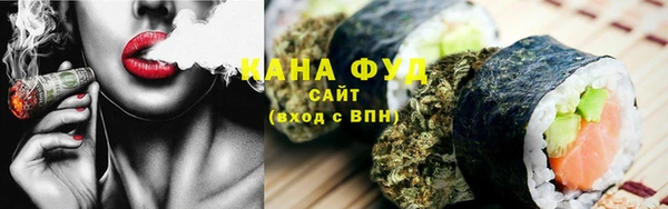 твердый Инта