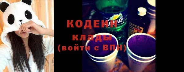 твердый Инта