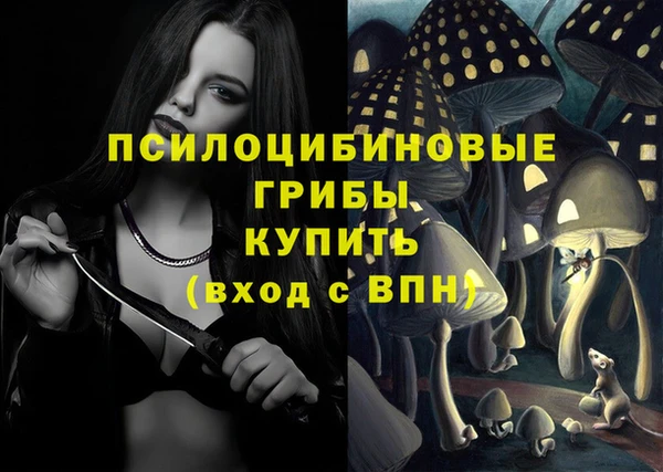 трава Каменка