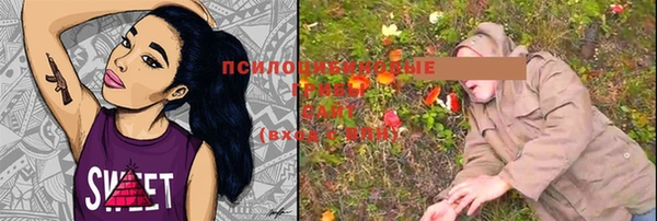 трава Каменка