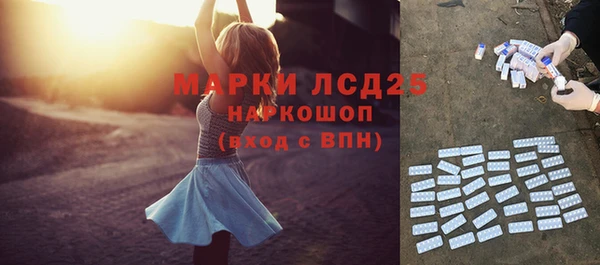 стафф Каменск-Шахтинский