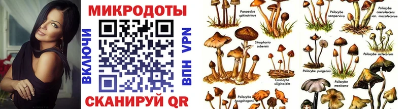 Купить закладки  Черкесск  Псилоцибиновые грибы Magic Shrooms 
